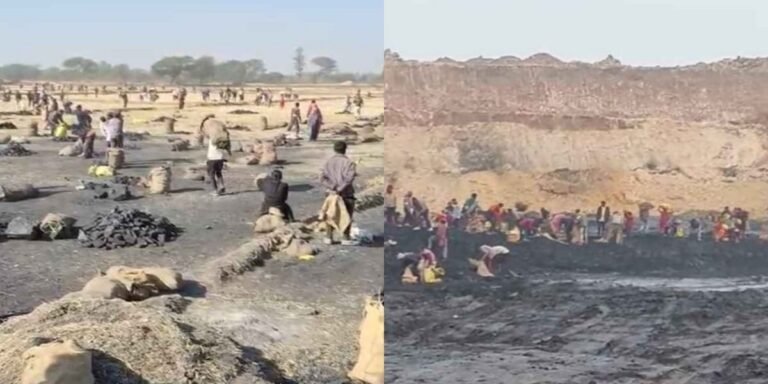 छत्तीसगढ़ में कोयला माफिया बेखौफ! अमेरा खदान से चोरी का वीडियो सोशल मीडिया पर वायरल