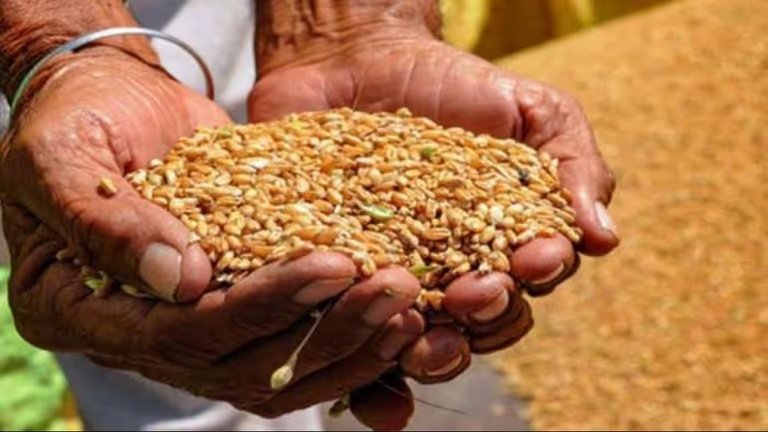 Food Security: राजस्थान में 841 नई उचित मूल्य दुकानों की तैयारी, चयन प्रक्रिया हुई तेज