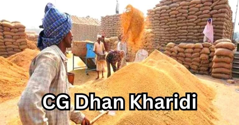 CG धान खरीदी खत्म, 2.41 लाख किसान अब भी वंचित, 91% ने बेचा धान, तिथि बढ़ाने पर सस्पेंस