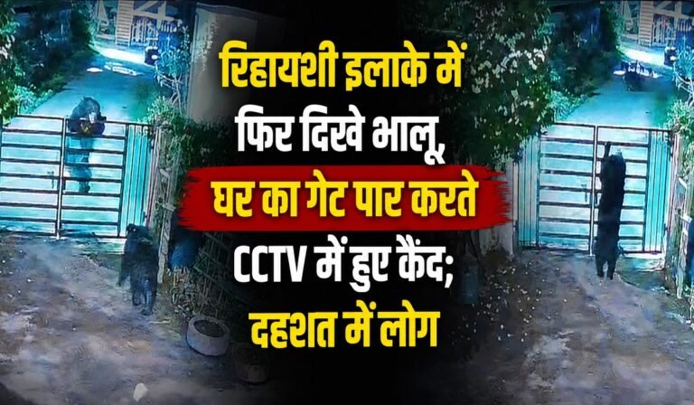 Chhattisgarh: रिहायशी इलाके में फिर दिखे भालू, घर का गेट पार करते CCTV में हुए कैद; दहशत में लोग