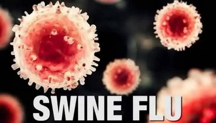 Swine Flu: छत्तीसगढ़ के इस जिले में बढ़ा स्वाइन फ्लू का खतरा, 7 संक्रमित मिलने के बाद प्रशासन सतर्क