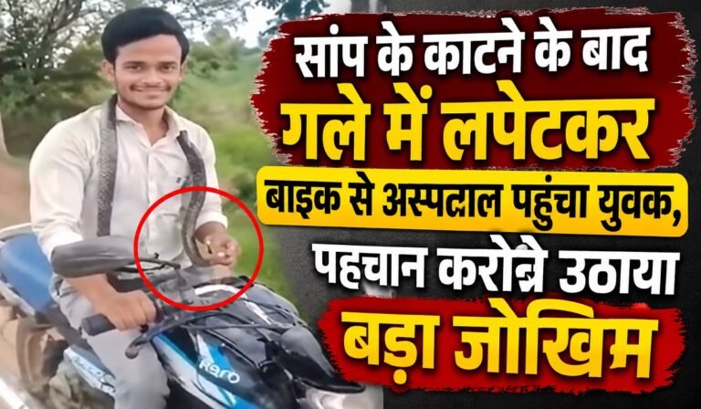 CG News: सांप के काटने के बाद गले में लपेटकर बाइक से अस्पताल पहुंचा युवक, पहचान कराने उठाया बड़ा जोखिम